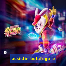 assistir botafogo e avai ao vivo em hd